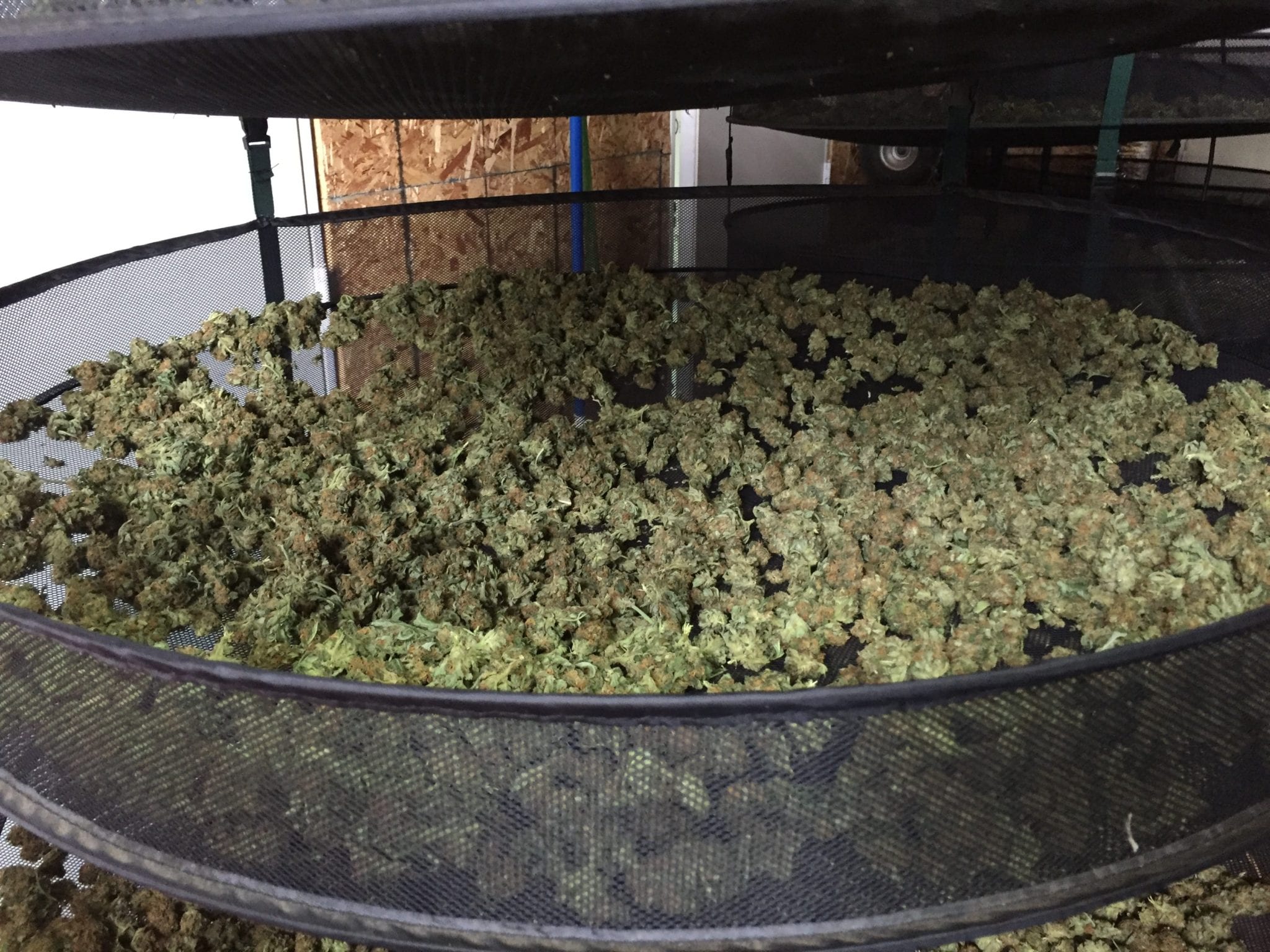 Smokeable CBD Flower